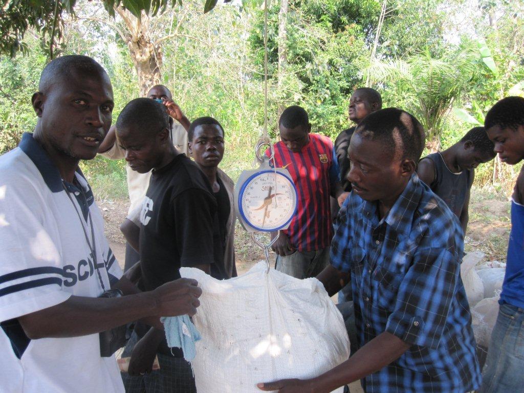 fair_funky's tweet image. Reading inspirational stories from @JTS_FairTrade farmers in #Malawi for the #RiceChallenge blog....COMING SOON!