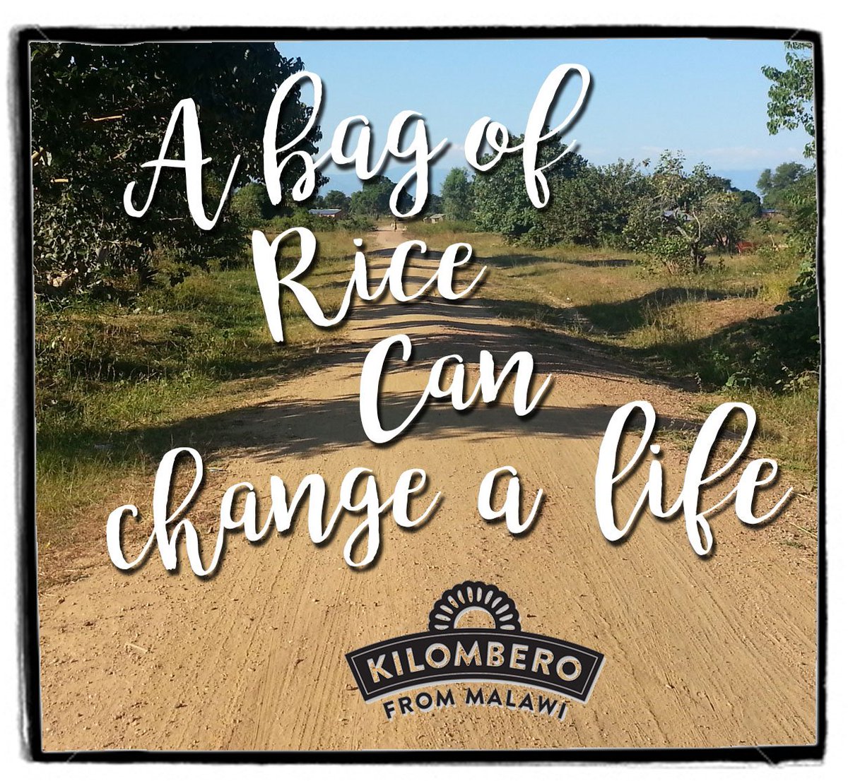 fair_funky's tweet image. Reading inspirational stories from @JTS_FairTrade farmers in #Malawi for the #RiceChallenge blog....COMING SOON!