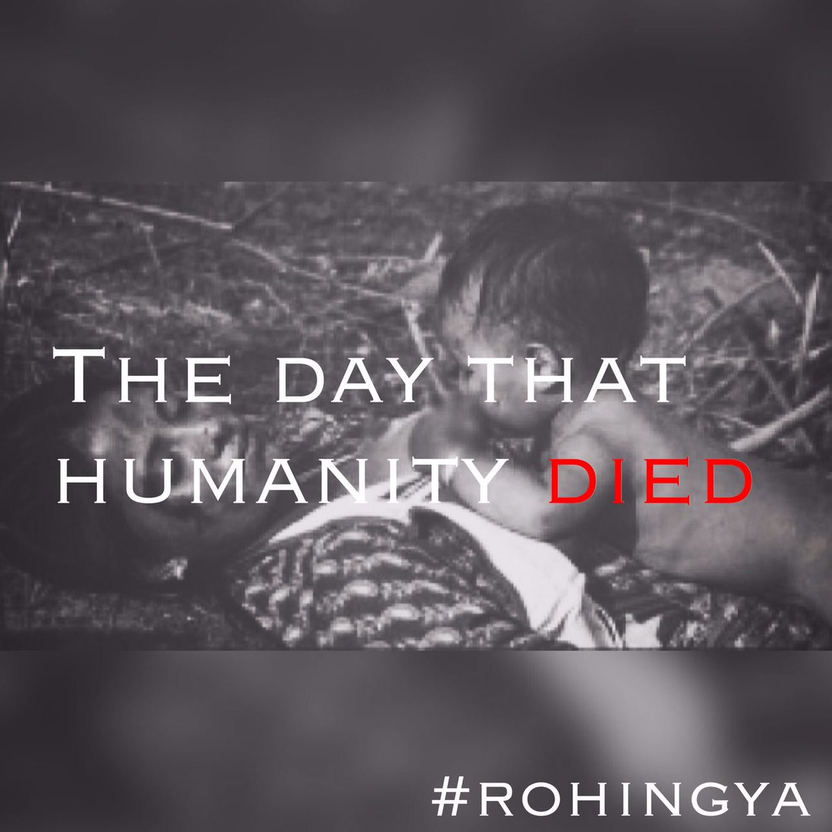 AlexAlex440's tweet photo. The day that humanity died #rohingya #forgottentragedyofburma
#BeyDay
#MondayMotivation
#LaborDay
#UNLVFB #RJnow https://t.co/TGPLFu3gn3