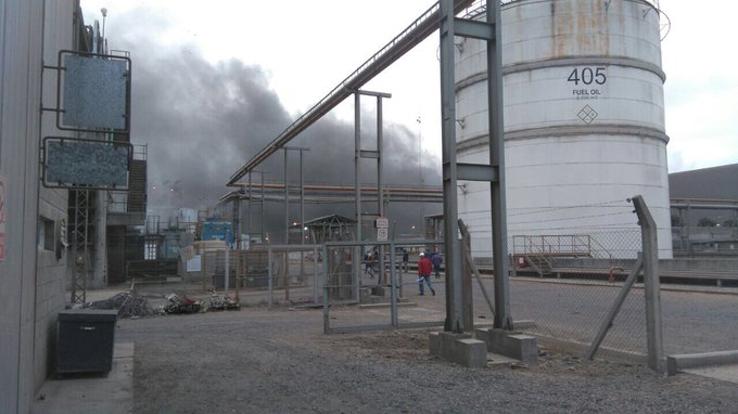 Ver imagen en Twitter