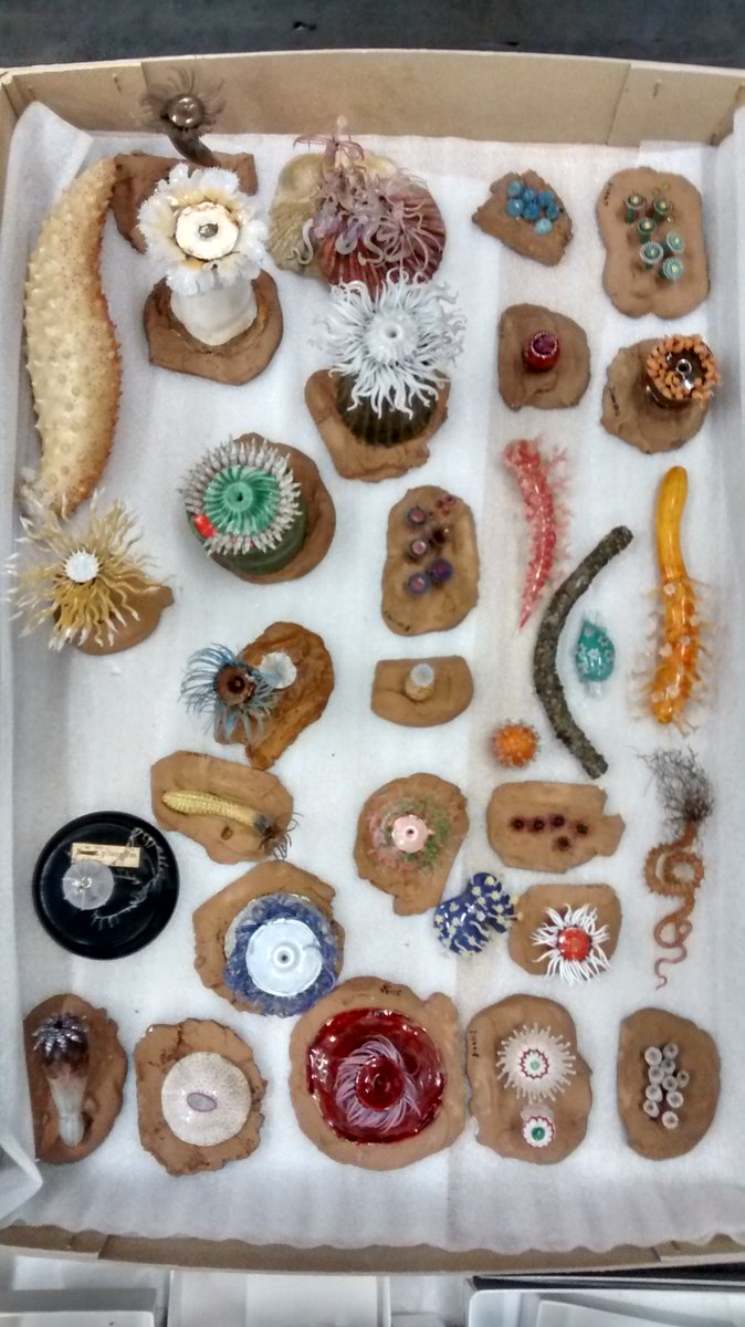 McrMuseum Collection tweet media