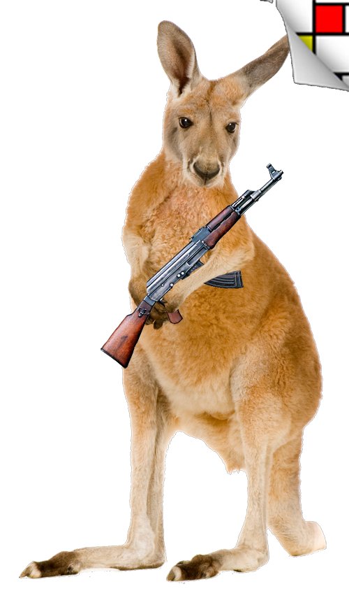 ayrmer's tweet image. #kangaroos &amp;amp; #machineguns an old story about #objectorientatedprogramming #OOP bit.ly/2x4Zwl2