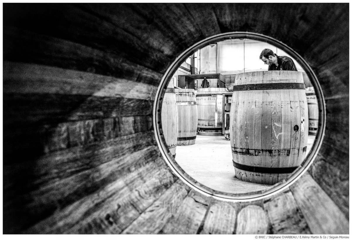 CognacUSA's tweet photo. Cognac is a living product. Its long aging in oak casks bring color and bouquet. https://t.co/NZD8bl6PT9 #Cognac https://t.co/vxzP0B5BnN