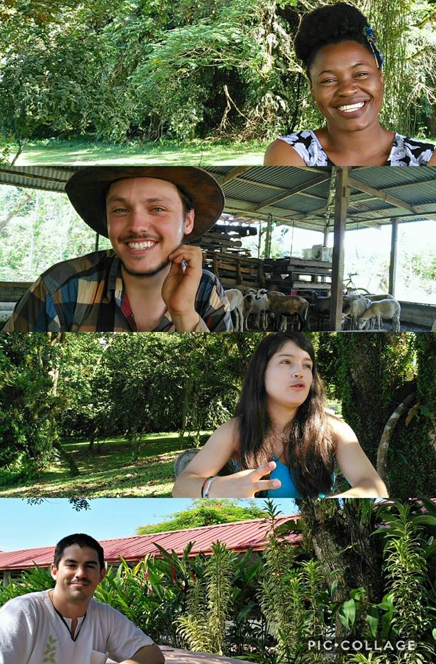 vidafmcr's tweet photo. Pronto contaremos la historia de estos cuatro muchachos que quieren cambiar el mundo. Testimonios de la Ruta del Caribe. https://t.co/QXOFHdOcFk