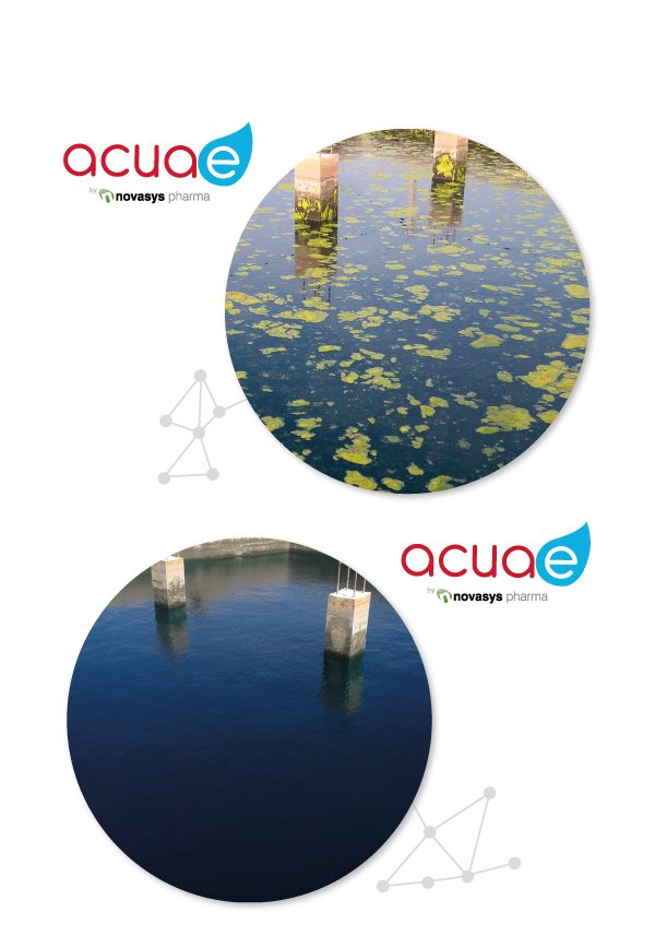 Novasys_Pharma's tweet photo. #Acuae está enfocado al tratamiento del #agua en embalses para riego de cultivo y respetuoso con el medio ambiente. https://t.co/OtnWWYJV2b https://t.co/67QYZOWEyA