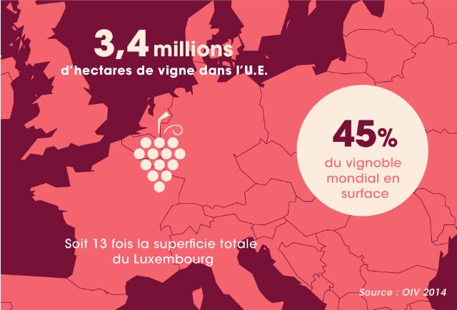 [Le saviez-vous?] La superficie des #vignes dans l'UE, c'est l'équivalent de 13 X le Luxembourg! bit.ly/1NZLn4V