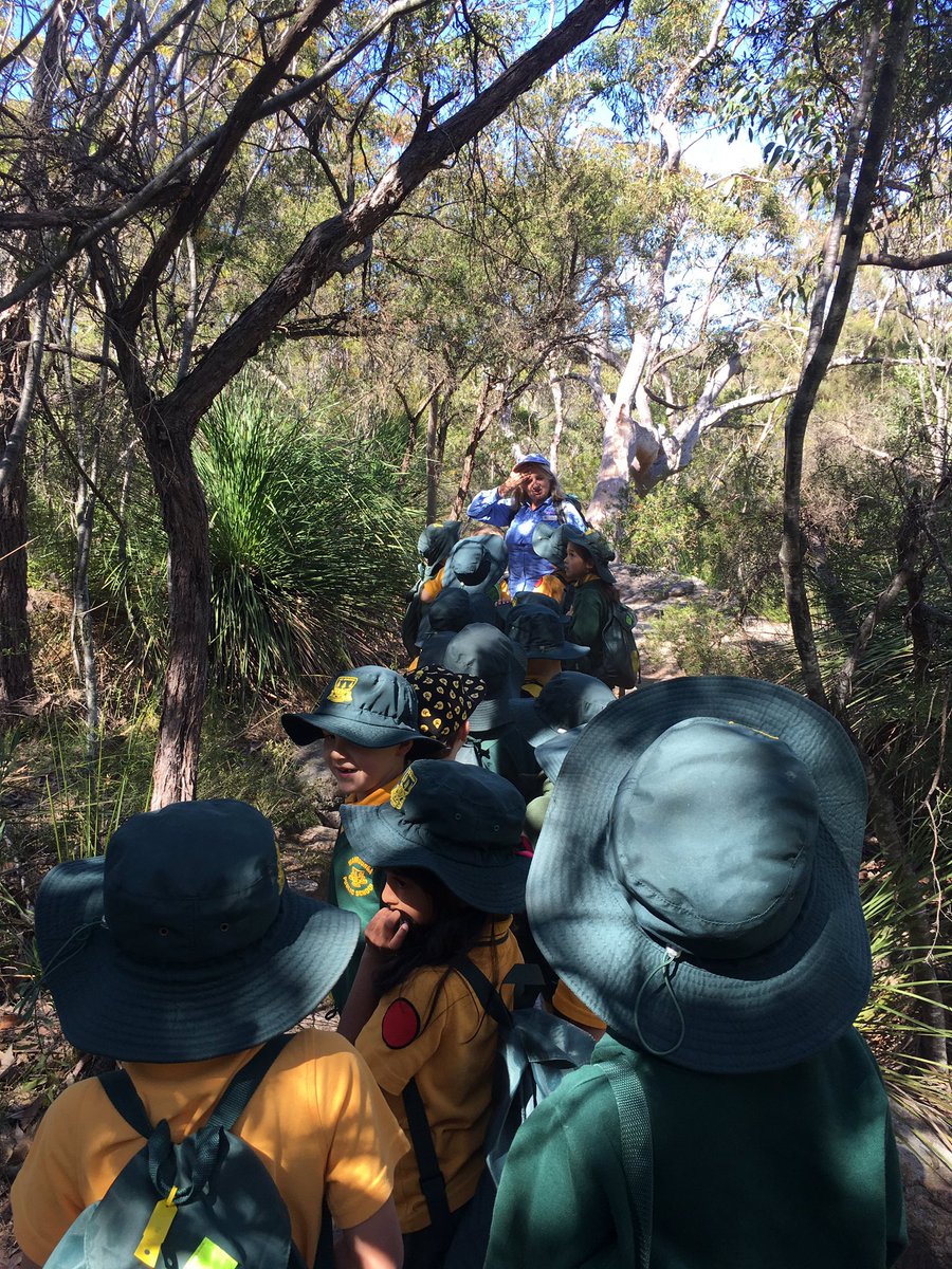 wps_1O's tweet photo. 1-O had a wonderful day at Gibberagong EEC bushwalking and learning about native flora and fauna 🌿 https://t.co/auHSKsqui5