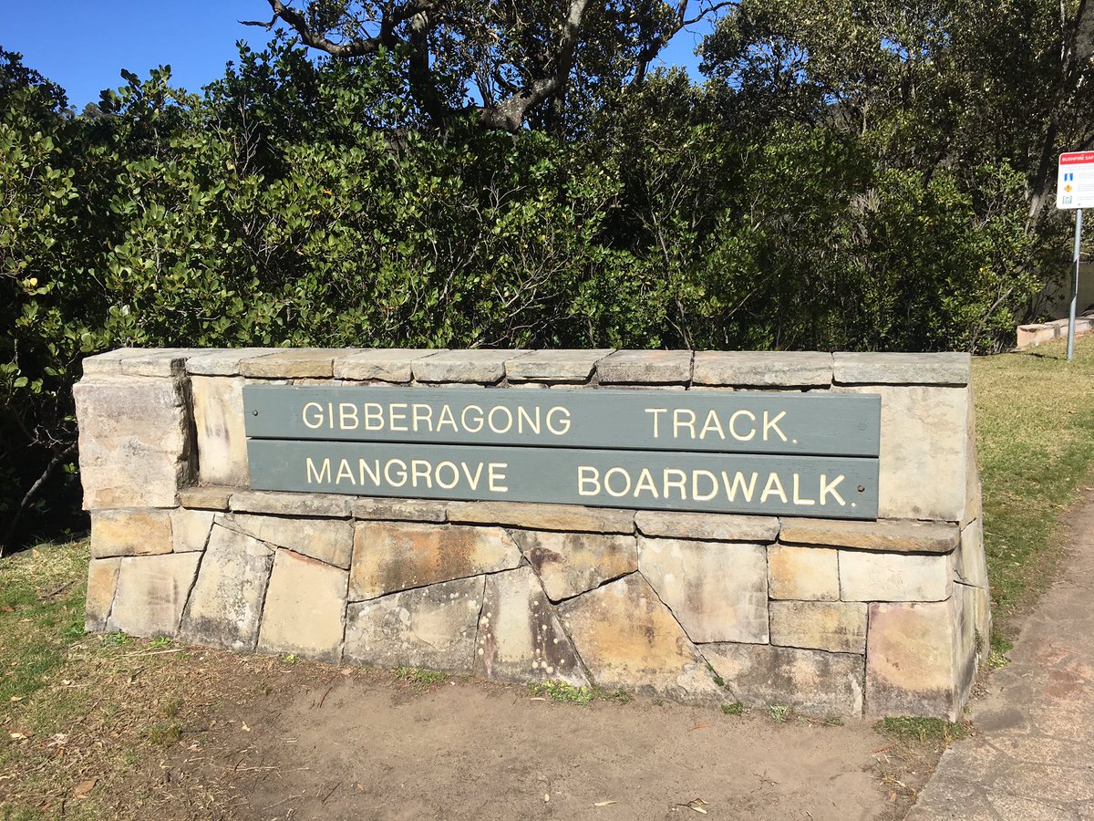 wps_1O's tweet photo. 1-O had a wonderful day at Gibberagong EEC bushwalking and learning about native flora and fauna 🌿 https://t.co/auHSKsqui5