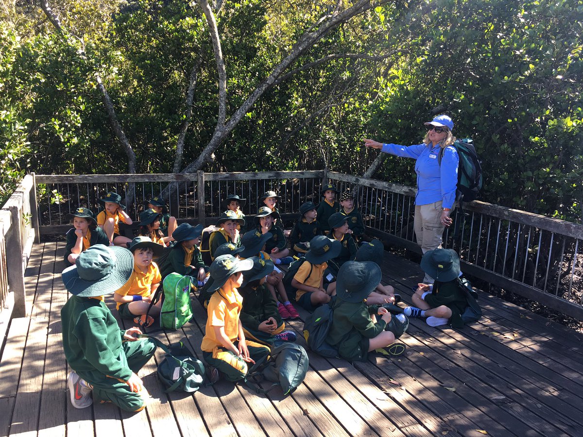 wps_1O's tweet photo. 1-O had a wonderful day at Gibberagong EEC bushwalking and learning about native flora and fauna 🌿 https://t.co/auHSKsqui5