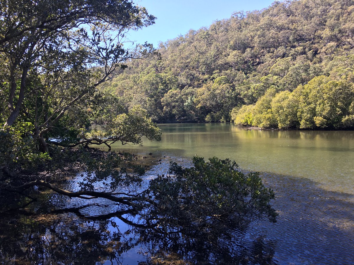 wps_1O's tweet photo. 1-O had a wonderful day at Gibberagong EEC bushwalking and learning about native flora and fauna 🌿 https://t.co/auHSKsqui5