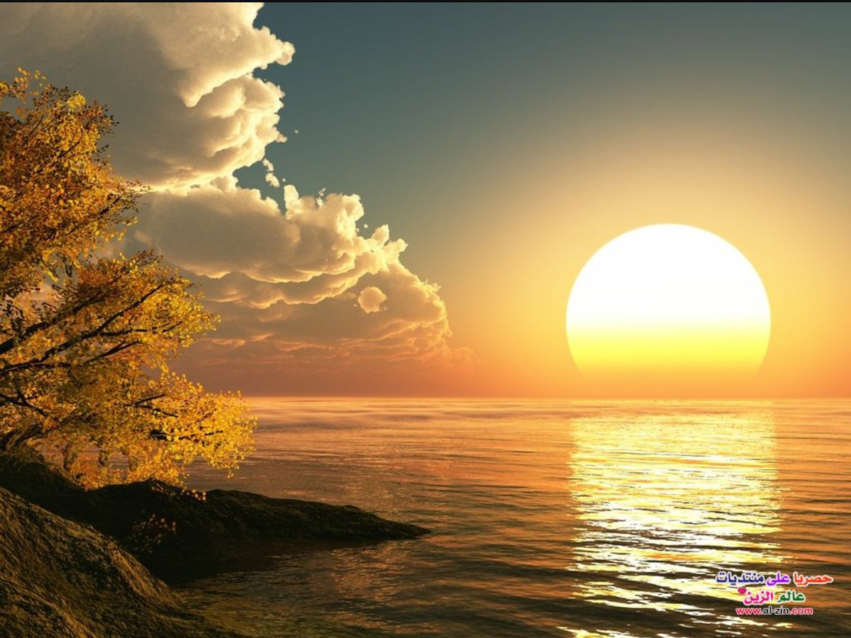 DESLALE1 tweet picture