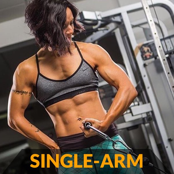 Gym Plan tweet media