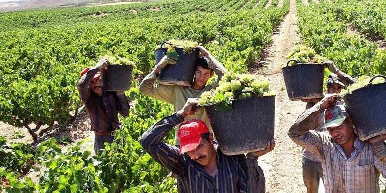 La Agricultura, único sector donde baja el #paro en agosto: ugt-fica.org/41-ultimas-not…
