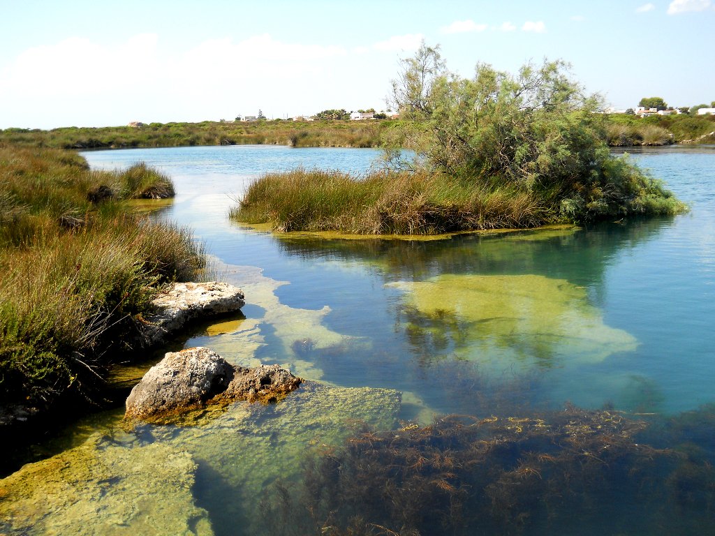 PippiMellone's tweet photo. Arrivano altri 300 mila euro e stavolta sono per la #PaludedelCapitano
https://t.co/SDG71vhCSr
#Por #PorPuglia #ambiente #territorio https://t.co/Y2Ms0izQ2Q