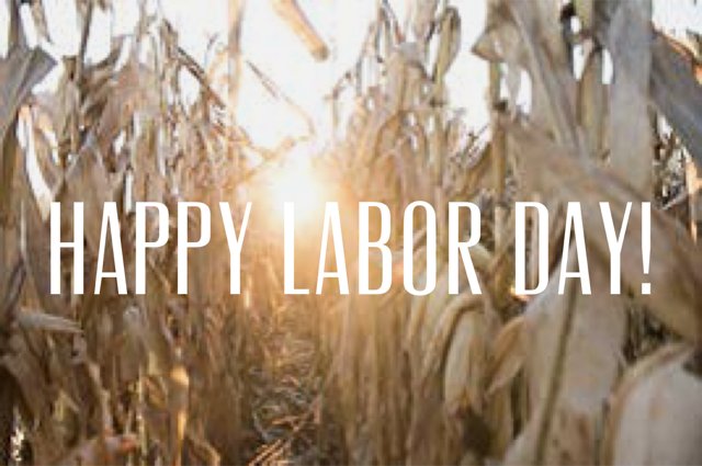 PioneerSeeds's tweet photo. Happy Labor Day! https://t.co/WVg7xq6RXo