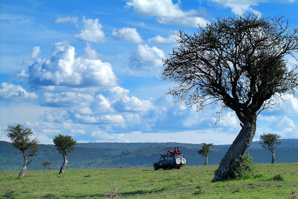 EASafariVenture's tweet photo. Take drive with us. Witness the migration. Experience the sights and sounds of the Mara at dawn. Spot the Big 5. Gain a unique perspective. https://t.co/zPLbcYjhep