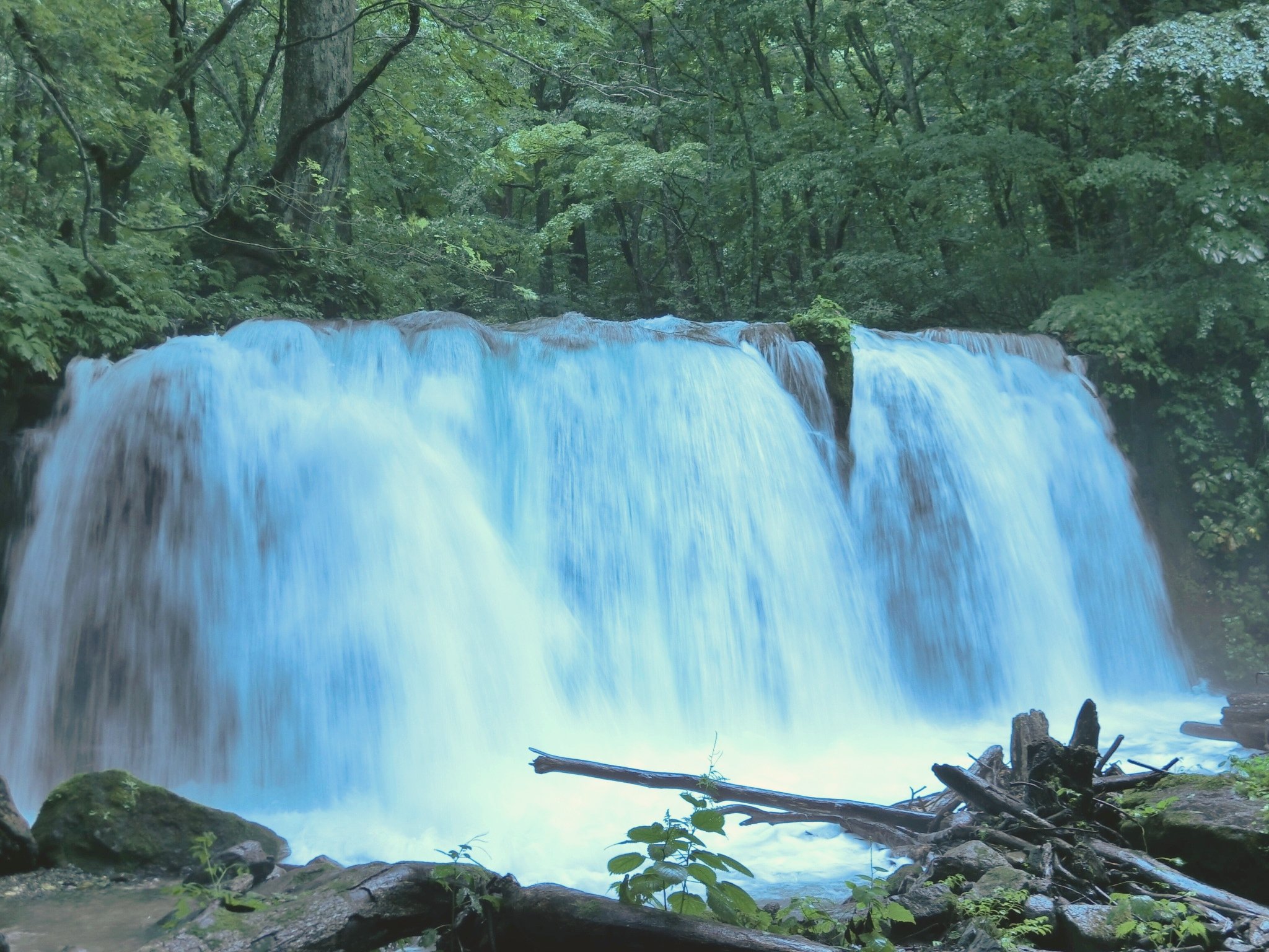 Lirio お盆の旅行 奥入瀬 遠野 花巻 の写真を毎日少しずつ貼っていきます 毎日２ツイート程度にするのでご容赦下さい 最初は奥入瀬から T Co Cvjkihvrah Twitter