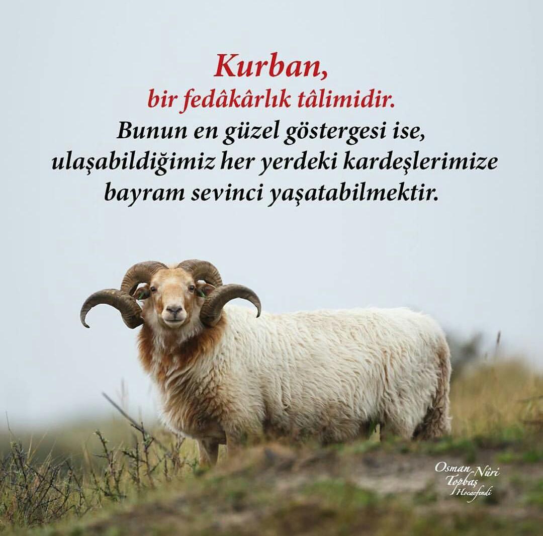 Узоры Kurban Bayram