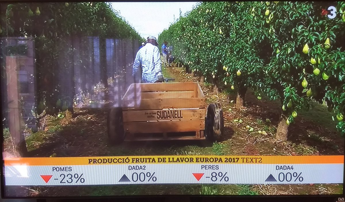 aranmateix's tweet image. Plantilles, descripció gràfica: #DADA2 #DADA4 #TEXT2 al TN Comarques #etfelicitofill