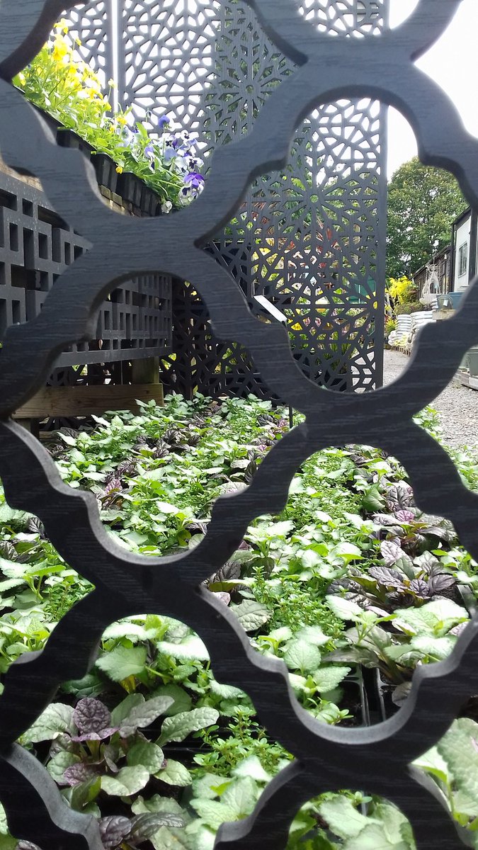 Turners Nursery (TurnersNursery) Twitter