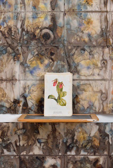 StudioEPartners's tweet image. .@studioepartners artist @BreceHoneycutt in STRANGE FLOWERS opening Sept 9 @Westbeth #knowartist #knowart