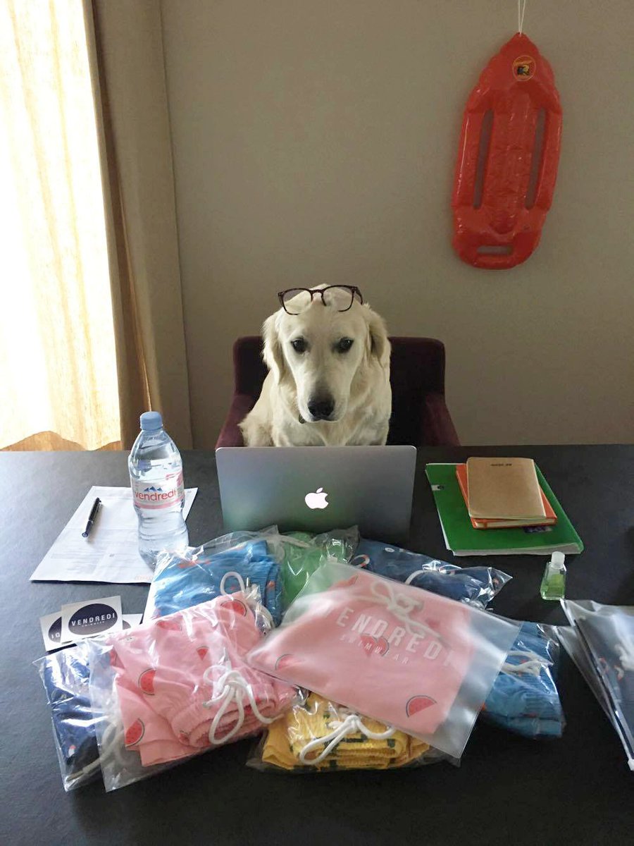 HelloVendredi's tweet photo. Bonne #rentree2017 à tous !
Moriss notre stagiaire a aussi fait sa rentrée au bureau ! 🙃 https://t.co/61dMGGC6er