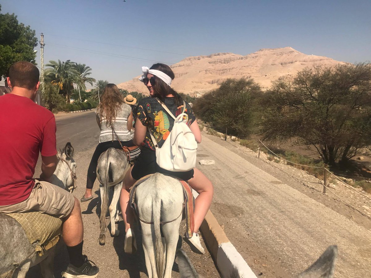 globalroamingg's tweet photo. Day three @traveltalktours Egypt has us riding donkeys into the Valley of Kings - not a bad Monday! #TravelTalkTours #Egypt https://t.co/9u6ZDreg4Y