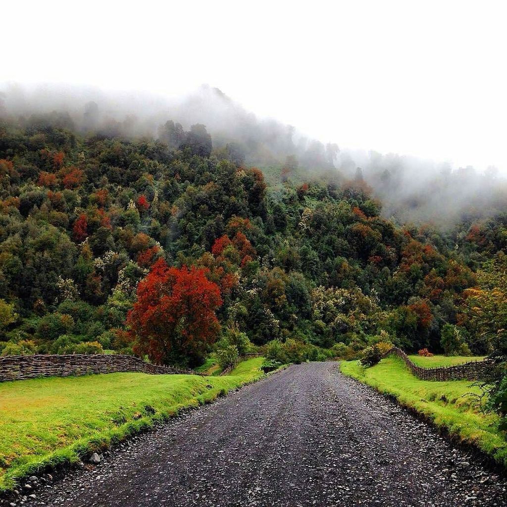 📷 @karian_villegas -  Recuerdos de mi visita al Parque Pumalin, espero que la belleza de este lugar se siga conservando 💚. #nature #naturep…