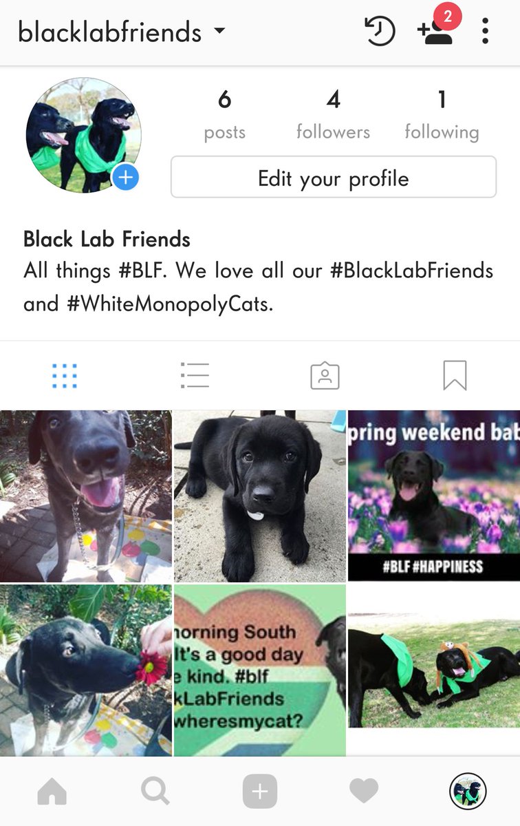 Tina Turtle (@TheMzansiTurtle) / Posts / X