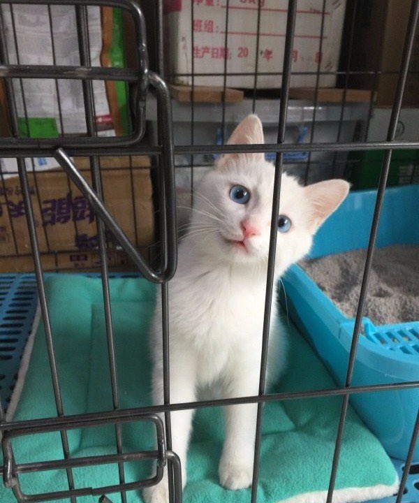 pinkar9's tweet photo. มนุษย์คิดว่าจะขังเราได้หรอ
ไม่มีวันหรอก จำไว้ 😝 https://t.co/nerB7VYjuY