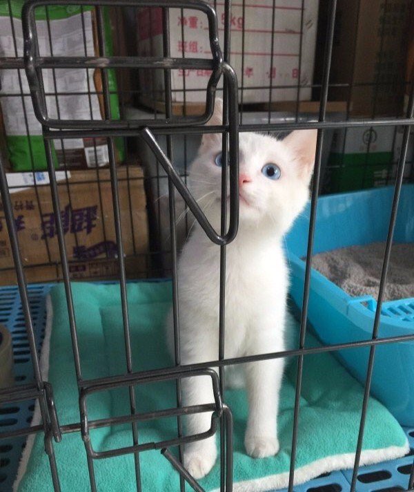 pinkar9's tweet photo. มนุษย์คิดว่าจะขังเราได้หรอ
ไม่มีวันหรอก จำไว้ 😝 https://t.co/nerB7VYjuY