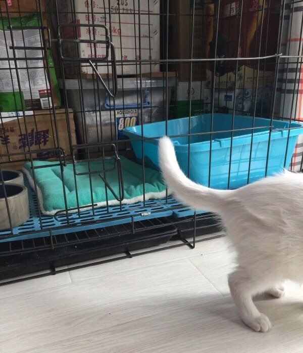 pinkar9's tweet photo. มนุษย์คิดว่าจะขังเราได้หรอ
ไม่มีวันหรอก จำไว้ 😝 https://t.co/nerB7VYjuY