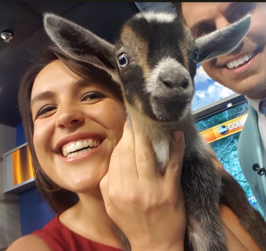 tylerryan's tweet photo. #GoatCam  #GoaFie    @GraceJoyal #LivestockonAir https://t.co/pSYGxGil8S