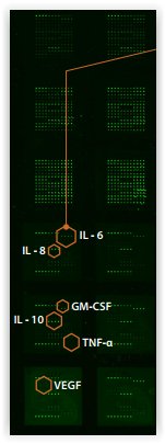 tebubio's tweet image. Biomarker profiling made more cost-effective with Quantibody, the ideal tool for #TargetDiscovery. See bit.ly/2grfEGI @tebubio