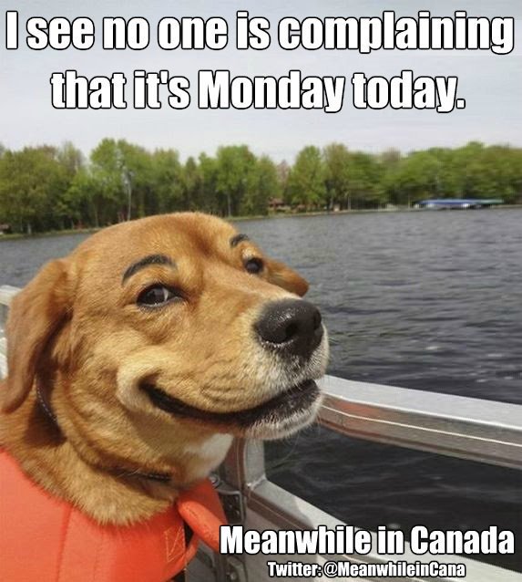 MeanwhileinCana's tweet image. Happy #LabourDay