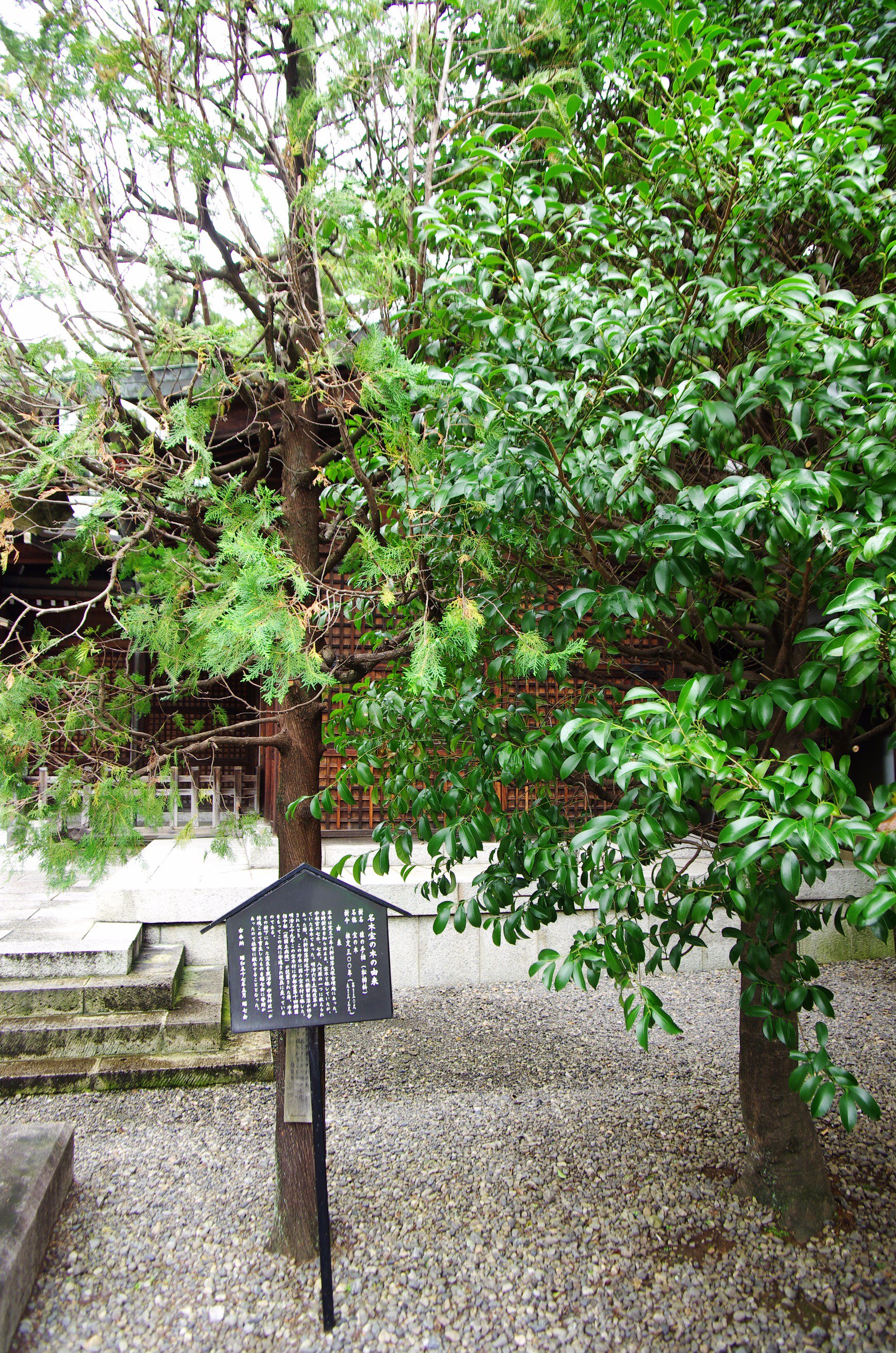 ç»å