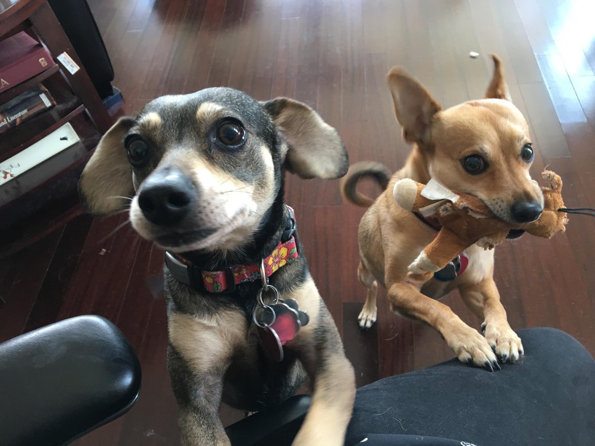 Tess and Pete say: Enjoy Labor Day!