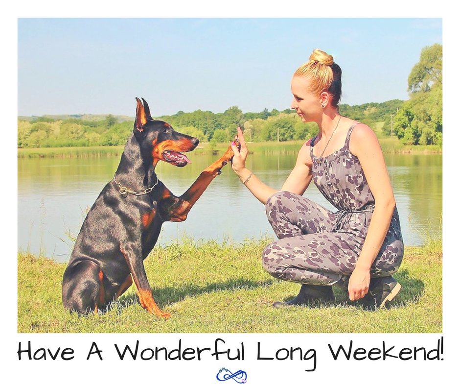 Bronte Village Vet tweet media