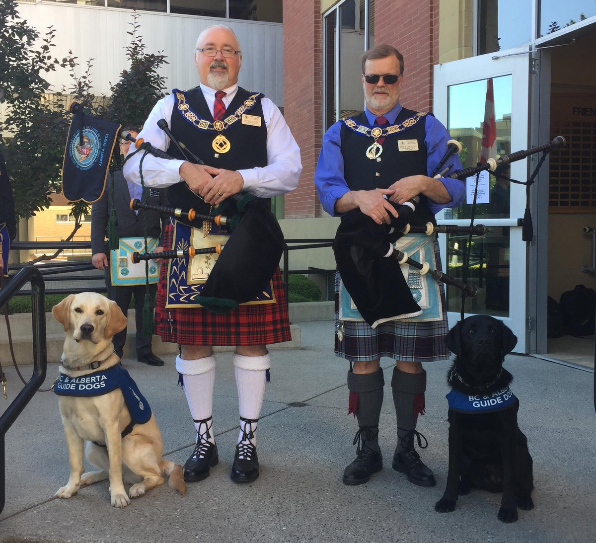 bcguidedogs's tweet photo. Honey and Banting ran into bagpipers for the first time this summer! #nobarking #whatisthatsound #dogsabouttown #bcguidedogs #abguidedogs https://t.co/itq73drUQ0