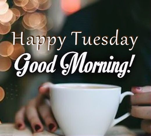 mgrwsheff's tweet photo. Happy Tuesday! #sheffieldissuper #doncasterisgreat #southyorksbiz #socialroth #socialsheff #atsocialmedia #atsocialbiz https://t.co/W2c4X2snXD