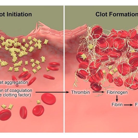 Core BioVisuals on Twitter "Part 2/3 Blood Coagulation illustration