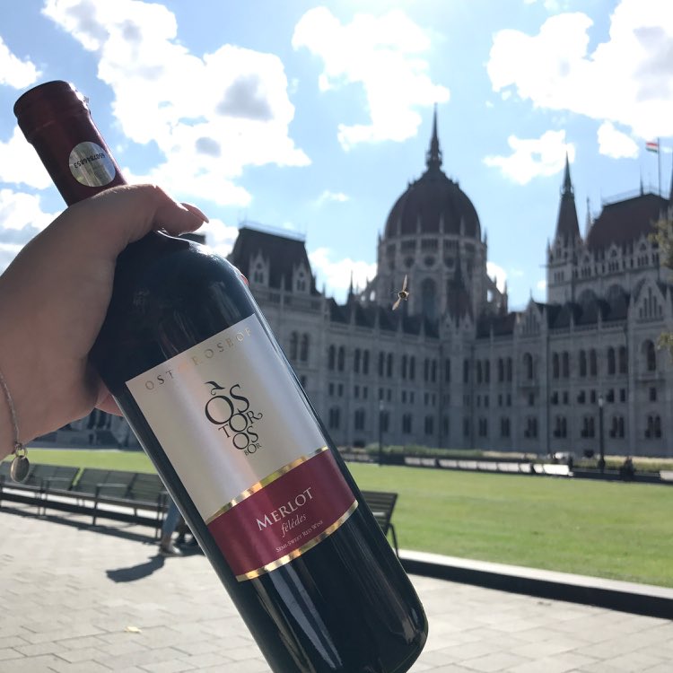 idiotyzmy's tweet photo. Kiedy chcesz zrobić ładne zdjęcie ale w kadr wpierdolila się pszczoła https://t.co/Z1egUGOBtN