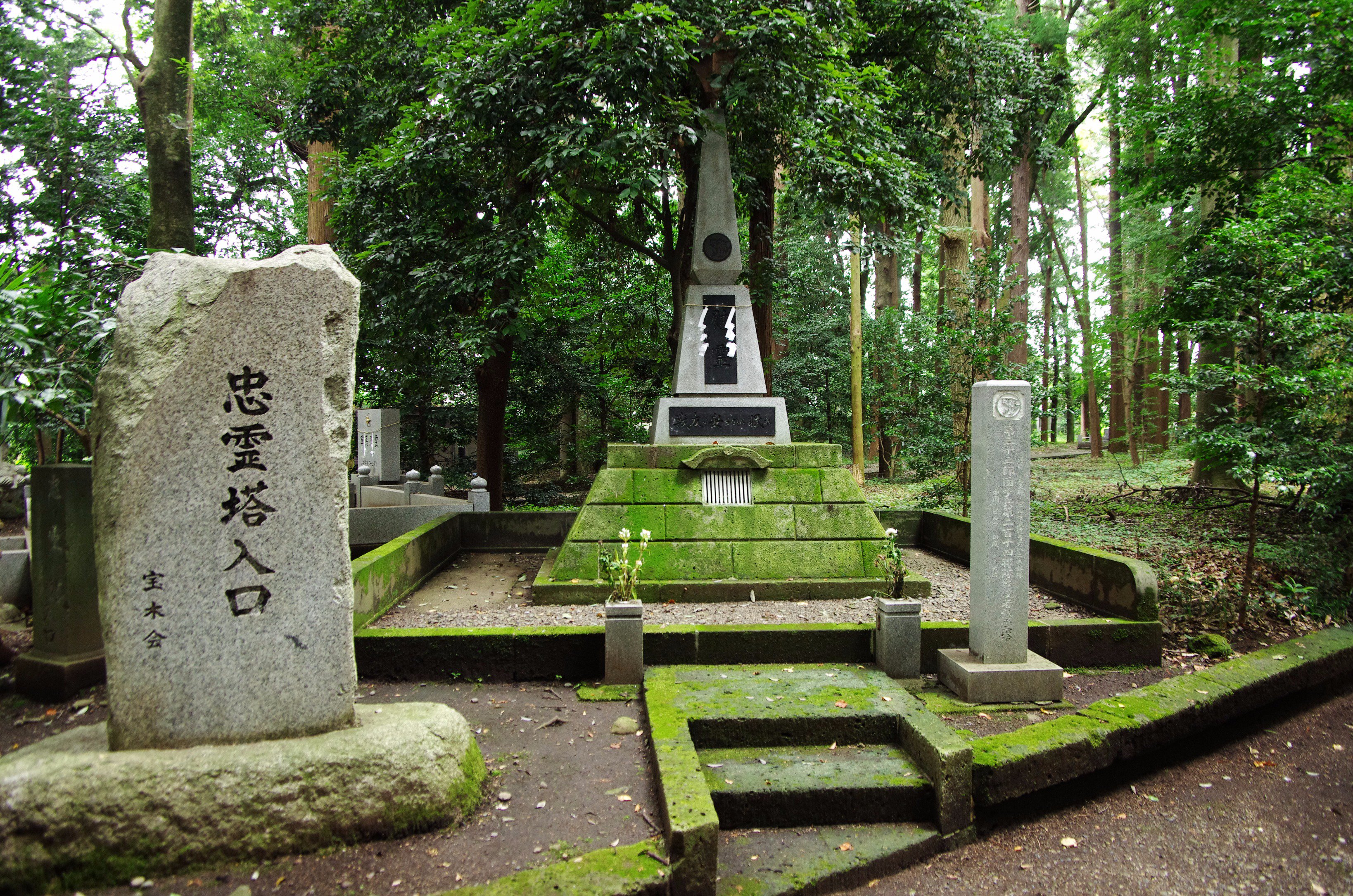 ç»å
