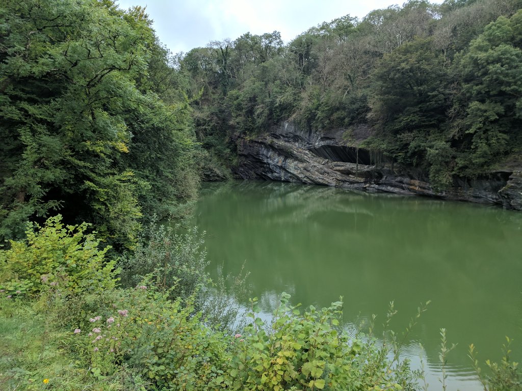 reeceyboy1987's tweet photo. Today's #wildswim adventure @meldonquarry, it was very green... https://t.co/P1K5hGzUJ5