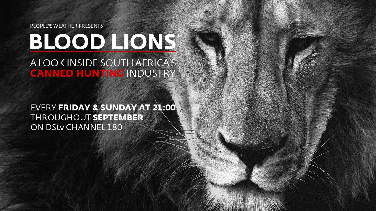 Blood_Lions's tweet photo. NEWS: #BLOODLIONS to hit DSTV channel 180 for the month of September on @Peoples_weather. Your chance to learn the truth. https://t.co/IGa1xMKgJN