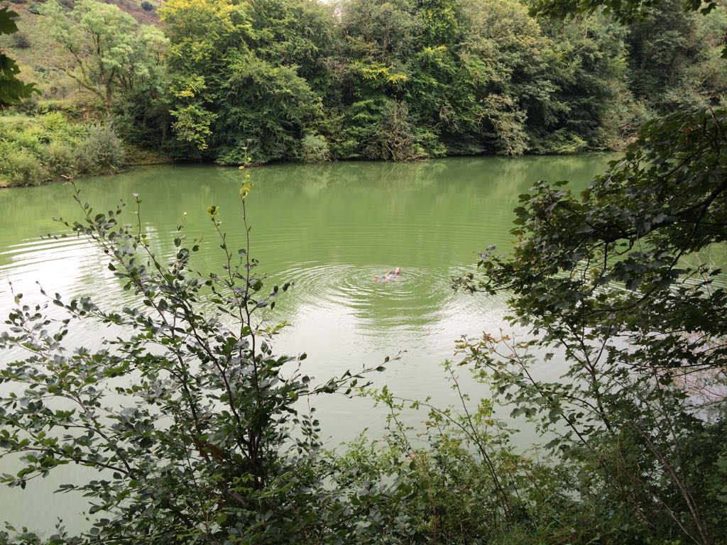reeceyboy1987's tweet photo. Today's #wildswim adventure @meldonquarry, it was very green... https://t.co/P1K5hGzUJ5