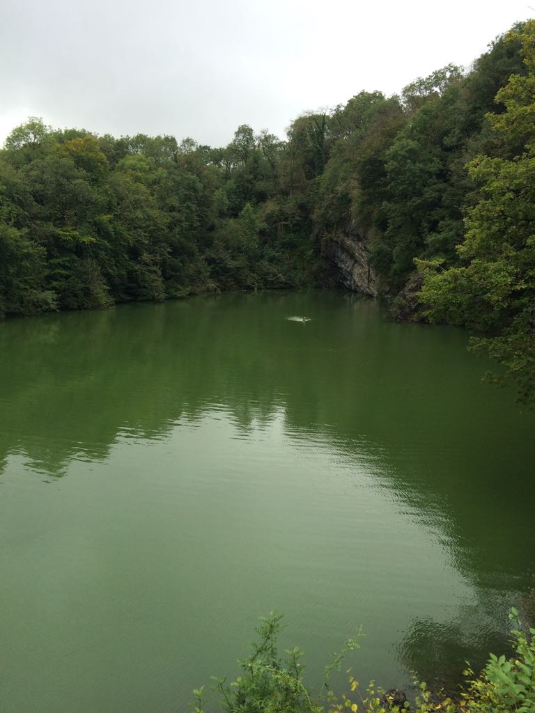 reeceyboy1987's tweet photo. Today's #wildswim adventure @meldonquarry, it was very green... https://t.co/P1K5hGzUJ5