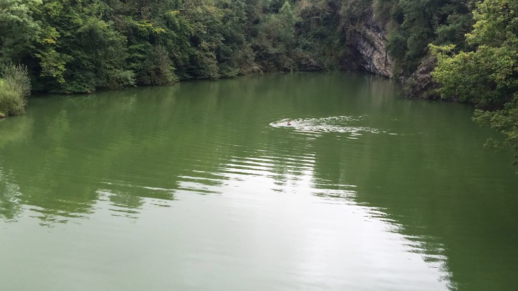 reeceyboy1987's tweet photo. Today's #wildswim adventure @meldonquarry, it was very green... https://t.co/P1K5hGzUJ5