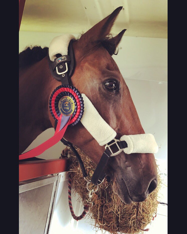 GGsRiders's tweet photo. #TeamWolf at @GoringHeathHT sat! 6th!!🏆🌟Finishing on our dressage score of 34 going double clear inside the time! #superstar @GGsRiders https://t.co/hOU19ZYq5m