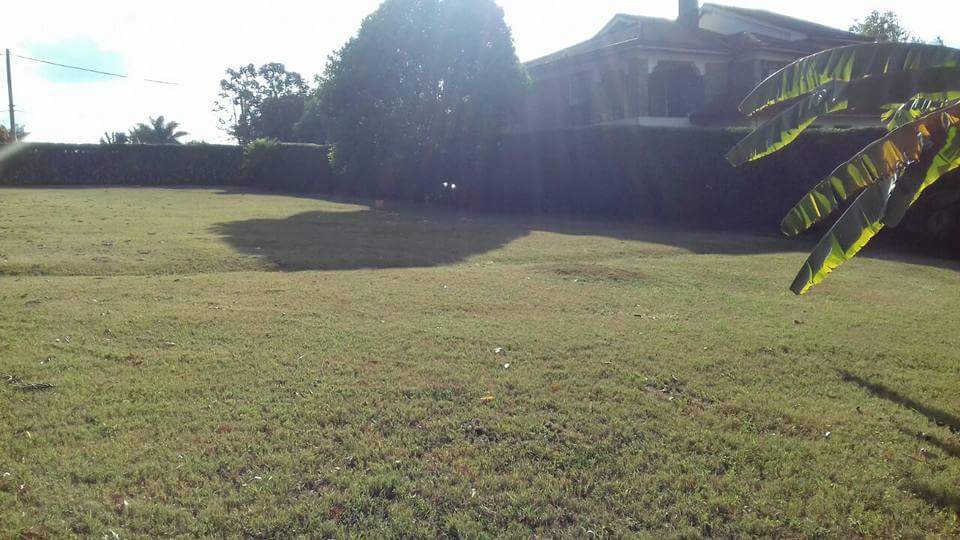 ShomotoRealtorz's tweet photo. RUNDA Evergreen Est. #PrimePropertyForSale well-manicured 0.5Acre Plt, Airy, Good neighborhood   AskingPrice KSh.65M #QuickSaleProperty https://t.co/98RS1CLqfa